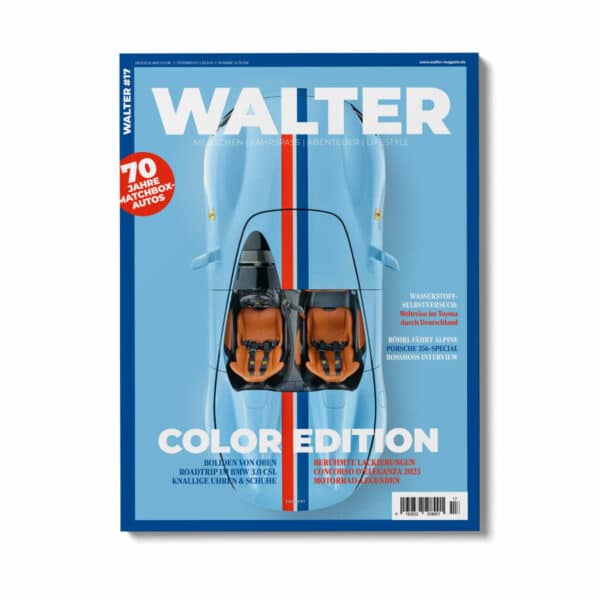 WALTER 17 Cover